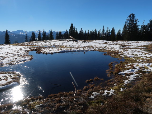 zwischen Radst&auml;dter H&uuml;tte und Oberem Schwemmberg