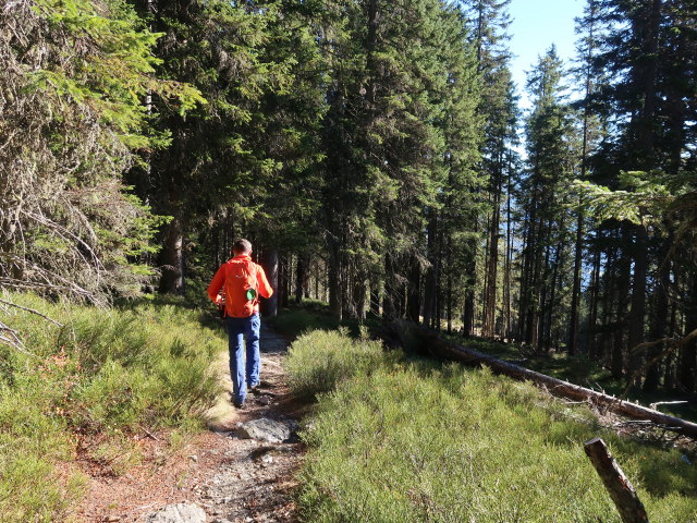 Georg zwischen Radst&auml;dter H&uuml;tte und Oberem Schwemmberg