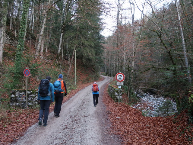 Ronald, Frank und Melanie zwischen M&uuml;hlau und Steinbergalm