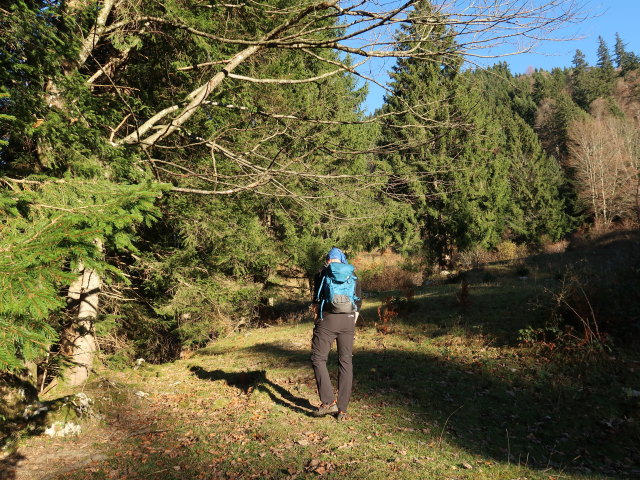 Frank zwischen M&uuml;hlau und Steinbergalm