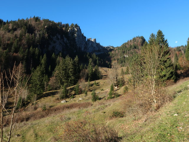 zwischen M&uuml;hlau und Steinbergalm