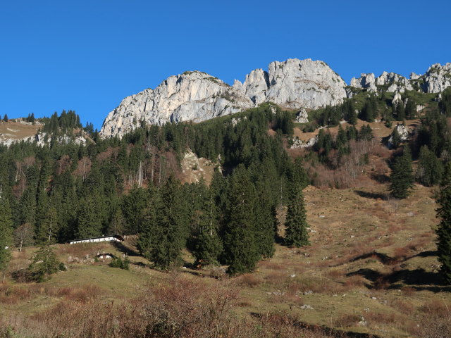 zwischen M&uuml;hlau und Steinbergalm