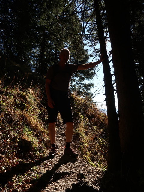 Frank zwischen Steinbergalm und Kampenwand