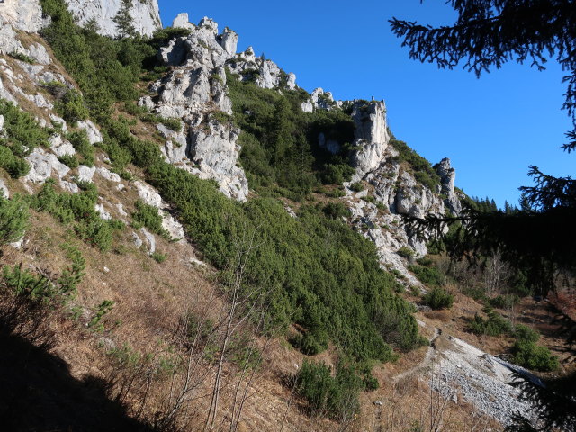 zwischen Steinbergalm und Kampenwand