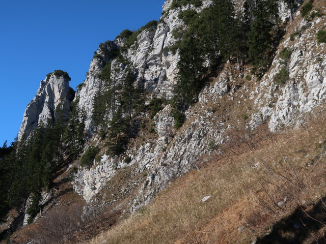 zwischen Kampenwand und Piesenhausener Hochalm