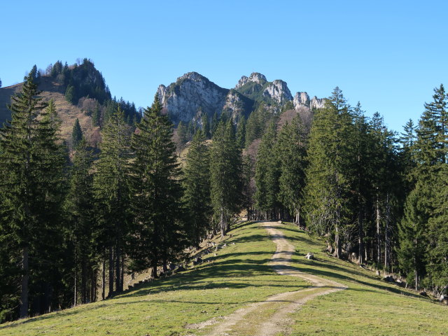 zwischen Kampenwand und Piesenhausener Hochalm
