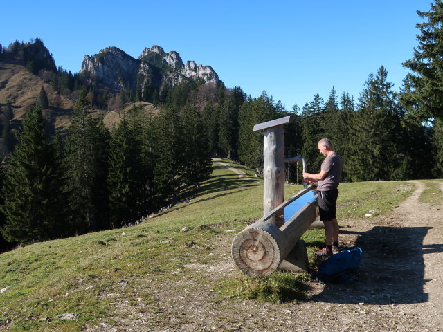 Frank auf der Piesenhausener Hochalm