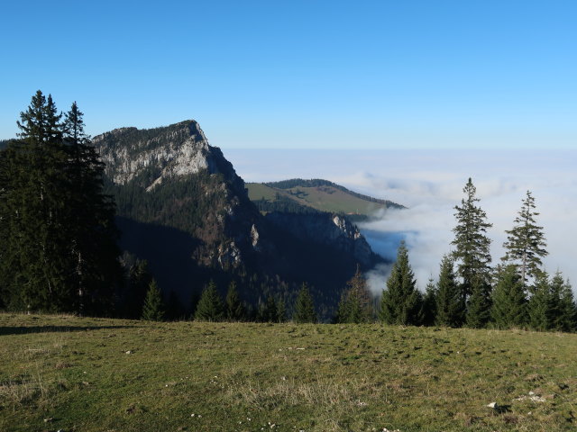 von der Piesenhausener Hochalm Richtung Norden