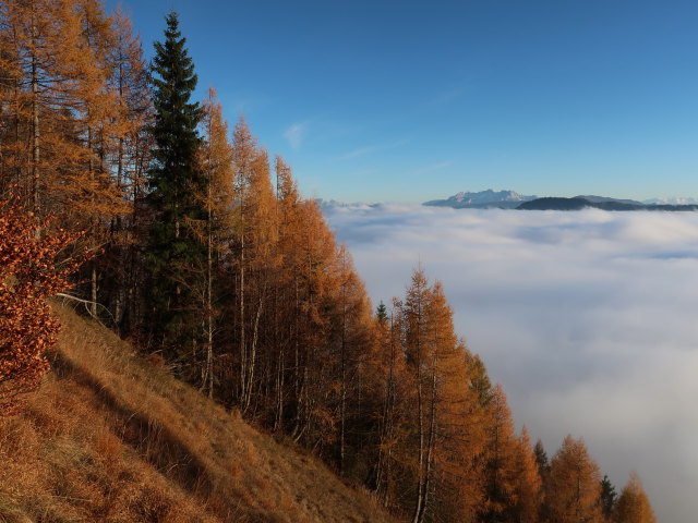zwischen Hochplatte und Oberauer Brunstalm