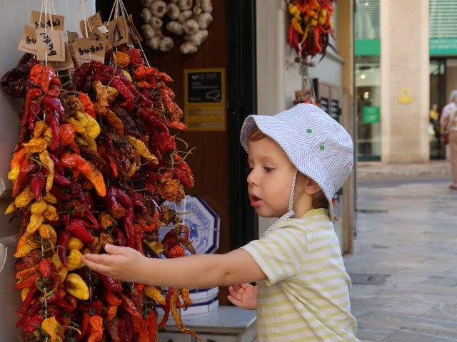 Nils auf der Pla&ccedil;a Major in Palma (12. Nov.)