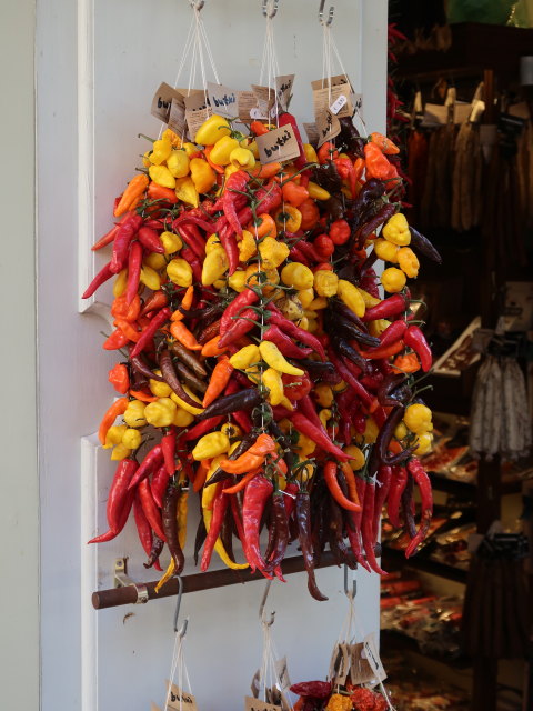 Pla&ccedil;a Major in Palma (12. Nov.)