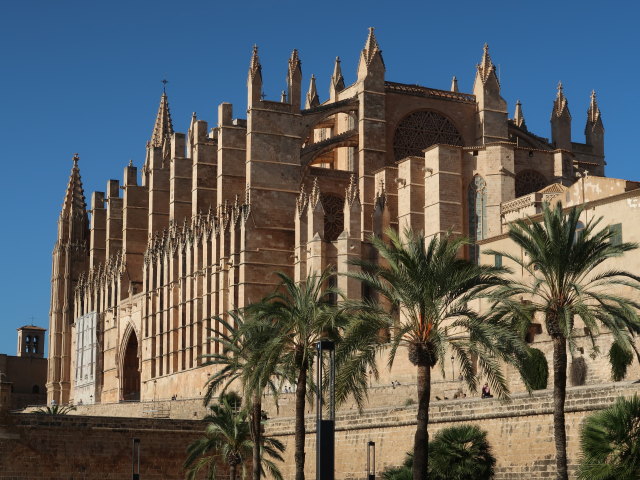 Catedral de Mallorca in Palma (12. Nov.)