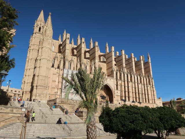 Catedral de Mallorca in Palma (12. Nov.)
