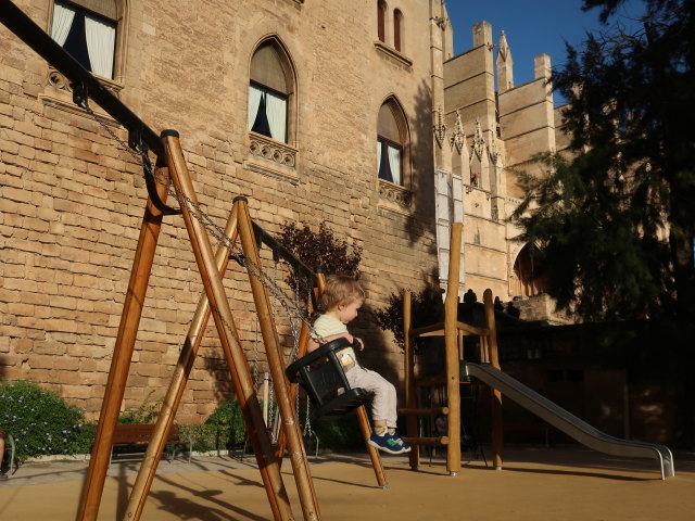 Nils beim Palau dels Reis de Mallorca in Palma (12. Nov.)