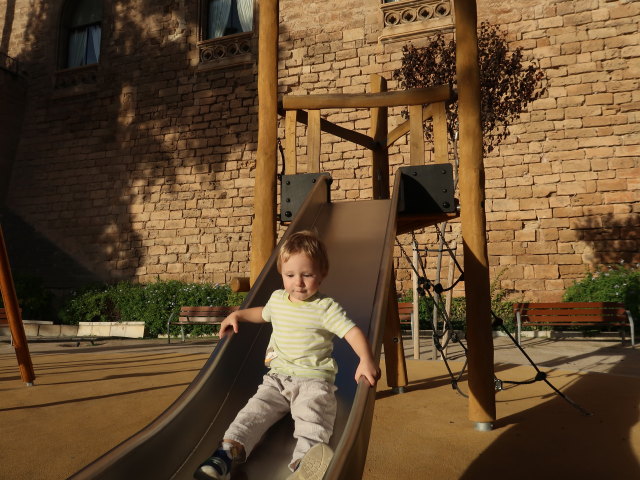 Nils beim Palau dels Reis de Mallorca in Palma (12. Nov.)