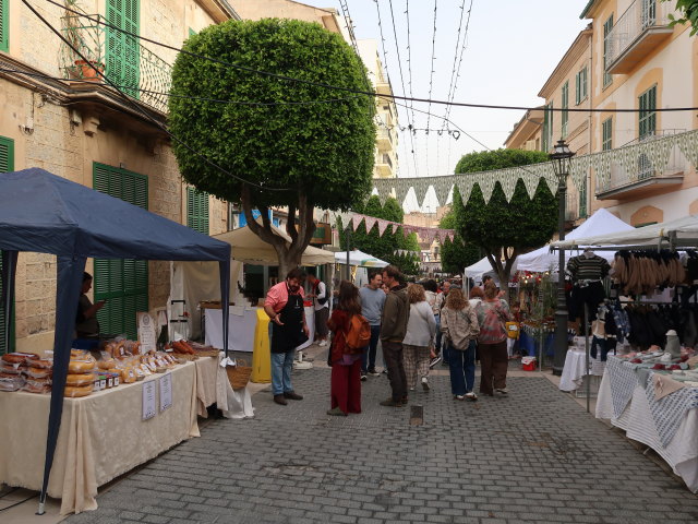 Avinguda del Bisbe Llompart in Inca (13. Nov.)