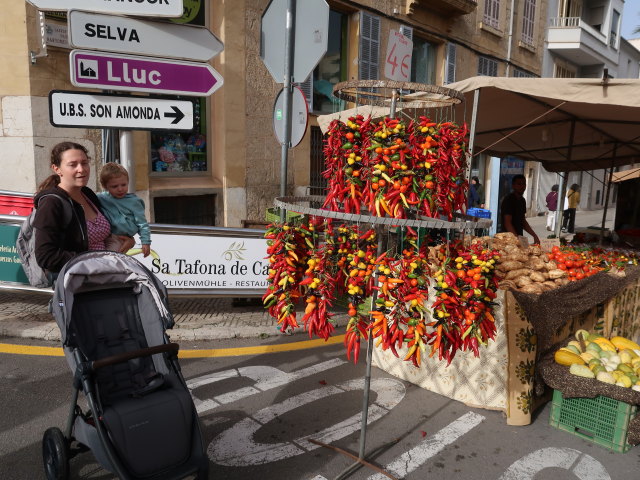 Sabine und Nils in der Carrer de Bartomeu Coc in Inca (13. Nov.)