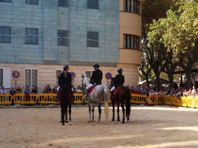 Pla&ccedil;a Font Vella in Inca (13. Nov.)