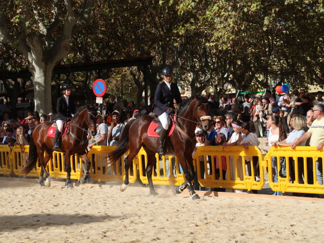 Pla&ccedil;a Font Vella in Inca (13. Nov.)