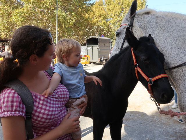 Sabine und Nils auf der Pla&ccedil;a Font Vella in Inca (13. Nov.)