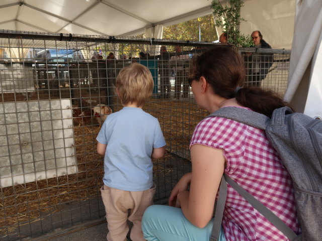 Nils und Sabine auf der Pla&ccedil;a Font Vella in Inca (13. Nov.)