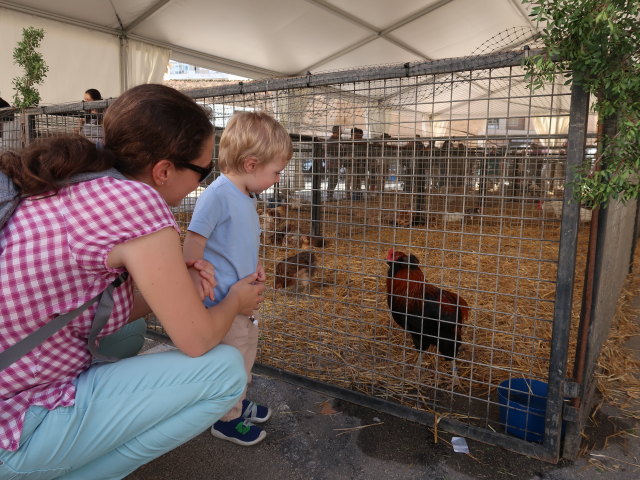 Sabine und Nils auf der Pla&ccedil;a Font Vella in Inca (13. Nov.)