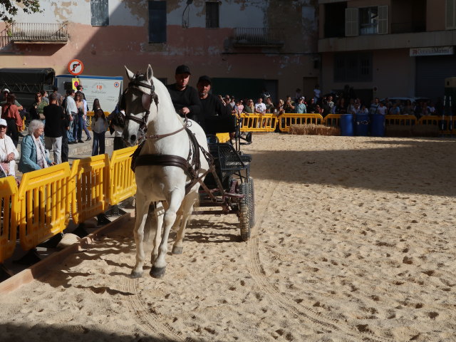 Pla&ccedil;a Font Vella in Inca (13. Nov.)
