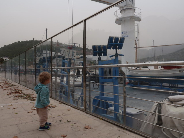 Nils in der Marina S&oacute;ller in Port de S&oacute;ller (14. Nov.)