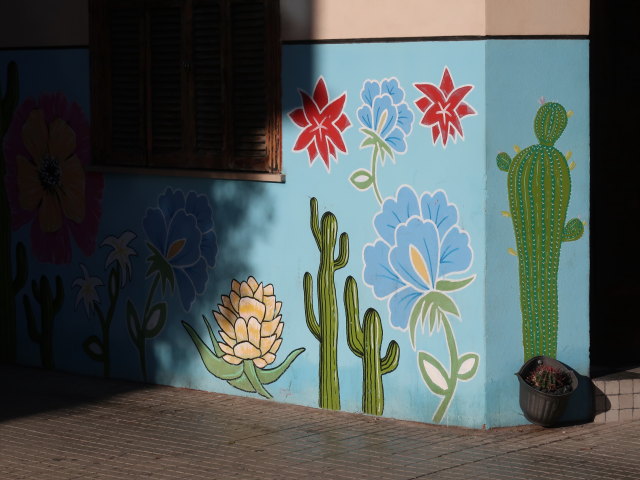Carrer Comte de Barcelona in Palma (15. Nov.)