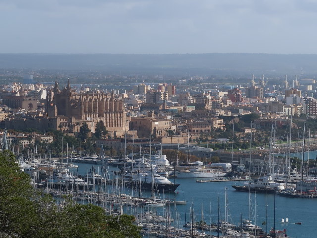 Palma (15. Nov.)
