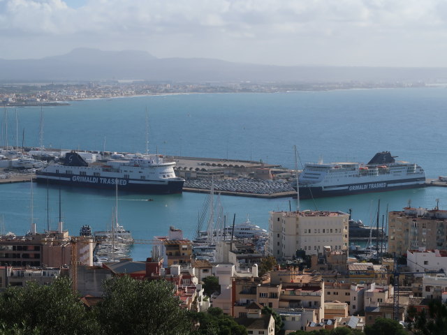 Port de Palma (15. Nov.)