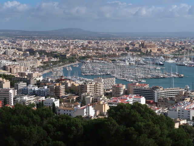Palma vom Castell de Bellver aus (15. Nov.)