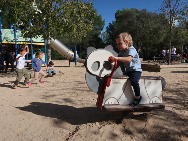 Nils im Parc des Castell de Bellver in Palma (15. Nov.)