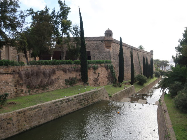 Torrent de la Riera in Palma (15. Nov.)