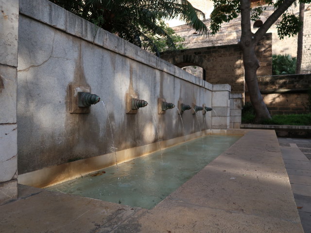 S'Hort del Rei in Palma (15. Nov.)