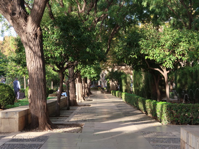 S'Hort del Rei in Palma (15. Nov.)