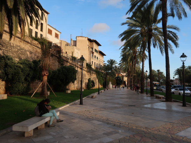 Sabine und Nils in der Passeig de Sagrera in Palma (15. Nov.)