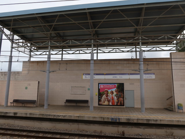 Estaci&oacute; dels Ca&uuml;lls (16. Nov.)