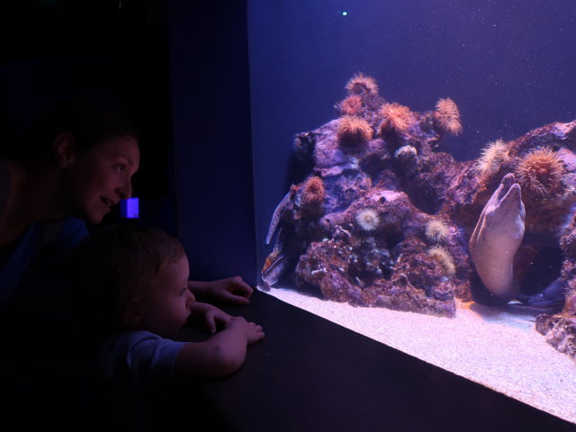 Sabine und Nils im Palma Aquarium (16. Nov.)