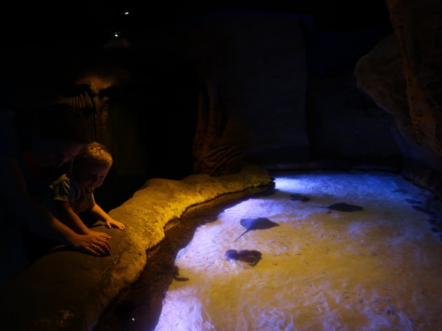Sabine und Nils im Palma Aquarium (16. Nov.)