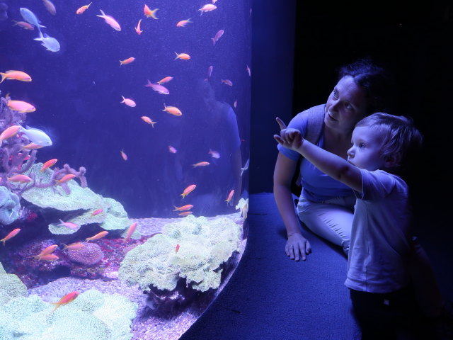 Sabine und Nils im Palma Aquarium (16. Nov.)