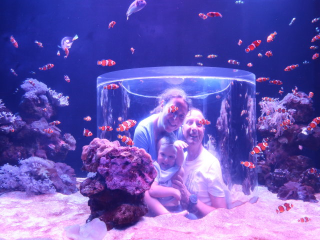 Nils, Sabine und ich im Palma Aquarium (16. Nov.)