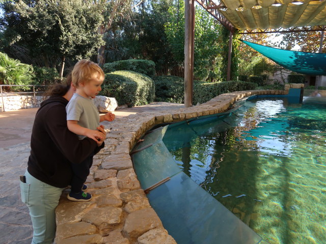 Sabine und Nils im Palma Aquarium (16. Nov.)