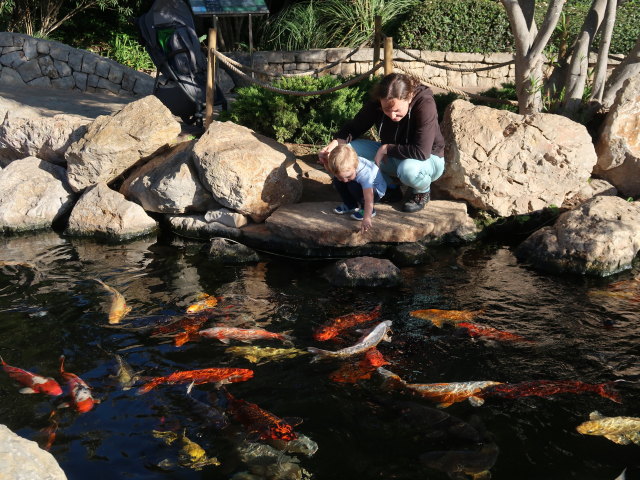 Nils und Sabine im Palma Aquarium (16. Nov.)