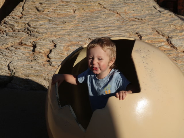 Nils im Palma Aquarium (16. Nov.)