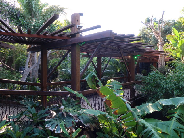 Palma Aquarium (16. Nov.)