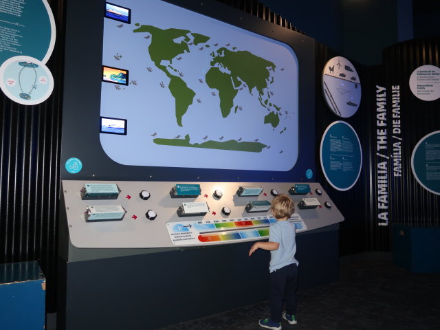 Nils im Palma Aquarium (16. Nov.)