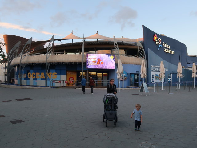 Sabine und Nils beim Palma Aquarium (16. Nov.)