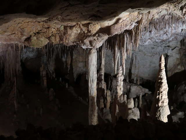 Coves del Drac in Porto Cristo (17. Nov.)