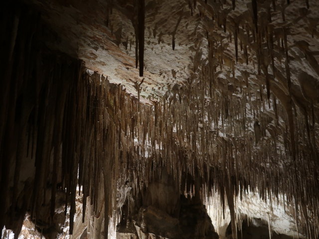 Coves del Drac in Porto Cristo (17. Nov.)